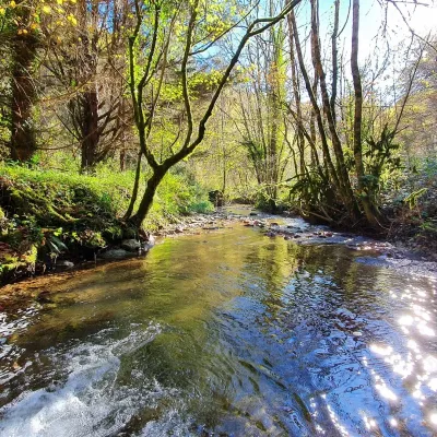 Affluent du tarn