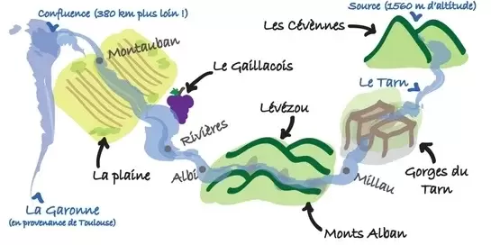Elements