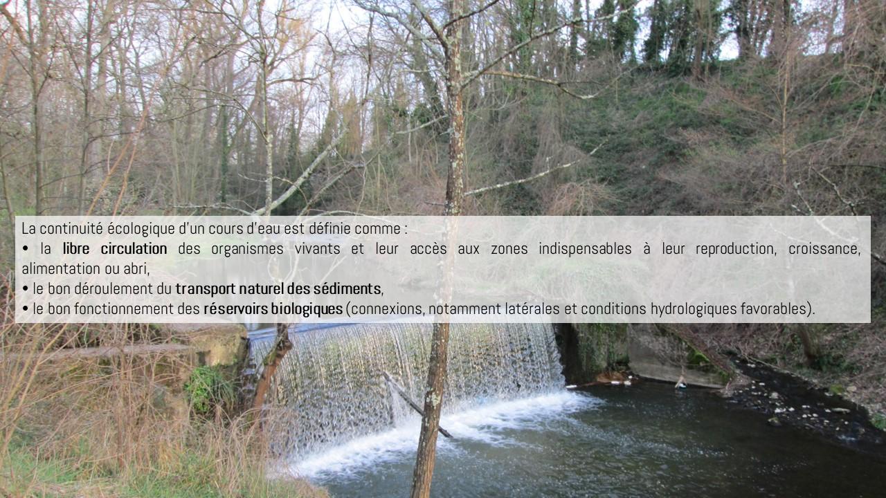 En tetecontinuiteeco