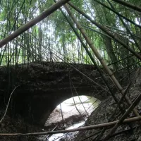 Pont