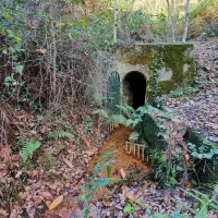 Source