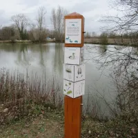 Totem